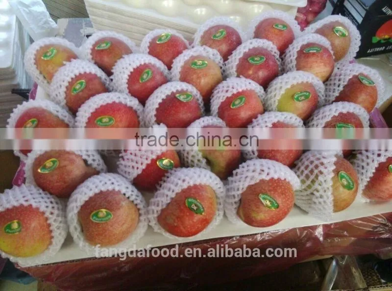 paper bagged qinguan apple