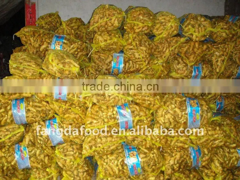 Chinese Fresh Young fresh Ginger