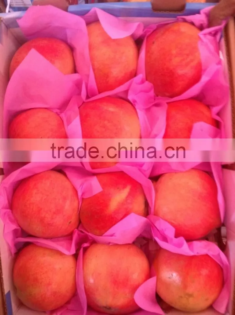 Packing / Color/Sizes/ Container of Fresh Pomegranates