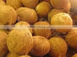 old coconut