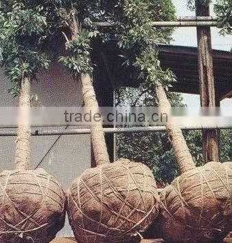 100% Jute Natural Plain Knitted Hessian Cloth / Burlap