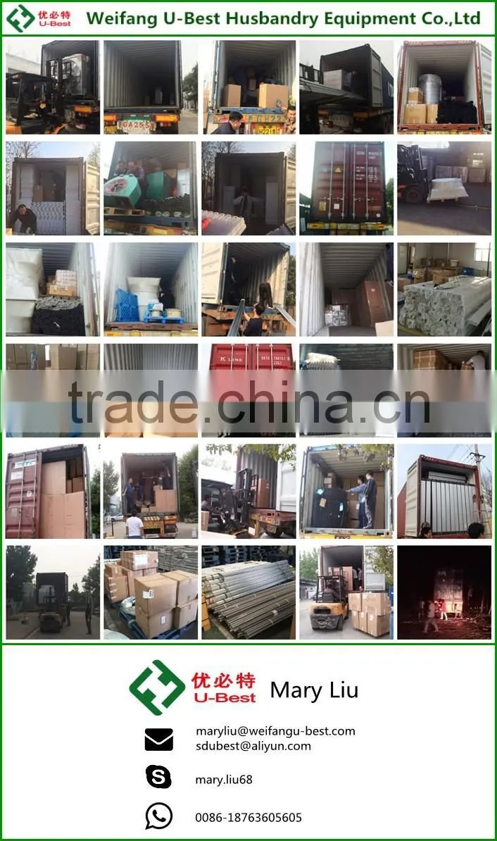 Low price Philippines poultry farm house design broiler chicken raising equipment