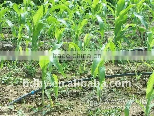 drip irrigation tape with double line