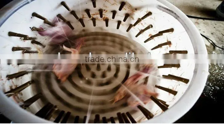 Good Quality Commercial Chicken/Duck/Goose/Quail poultry plucker machine full automatic plucker machines