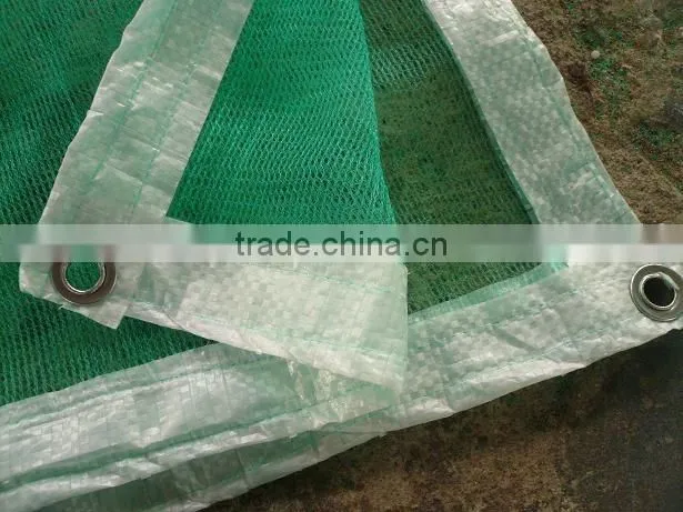 fruit tree,harvest olive net