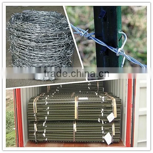 JT factory reinforcing welded wire mesh / good qualtiy hot dippe galvazid welded wire mesh