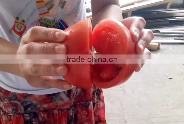 Fruit Vegetable Squash Half Cutting Machine
