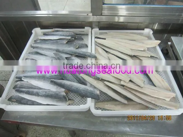 frozen spanish mackerel fillet
