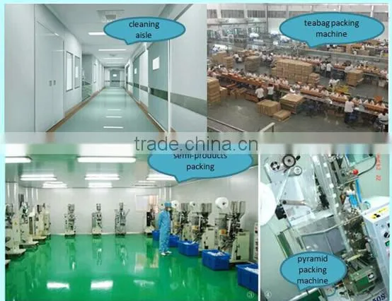 Good quality Instant Ginger Tea supplier from China.