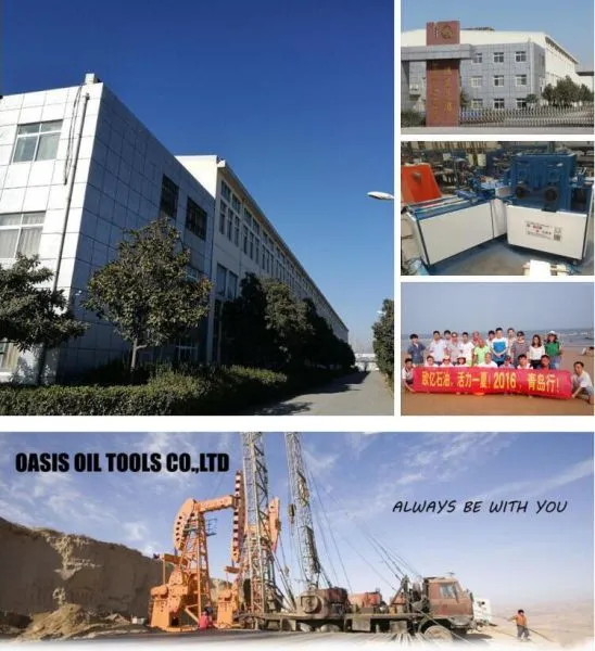 Oasis Oil Tools Co.,ltd. company overview - view 1