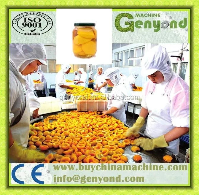 Fruit Canning Machines for Pineapple Mango