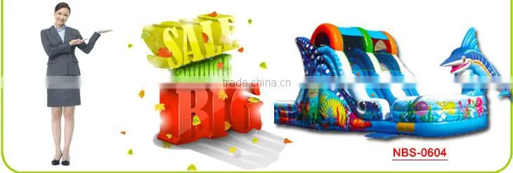 New Point inflatable slide, giant inflatable slide, commercial inflatable slide