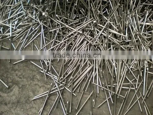 Top quality iron nails supply, iron nail, common wire nail as construction material