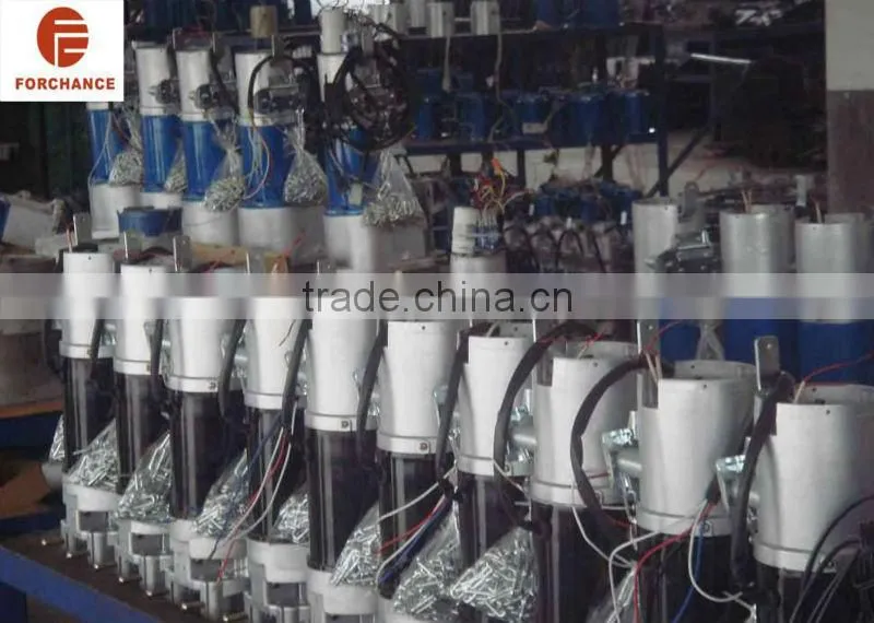 DC24V 500KG 12v brushless dc motor