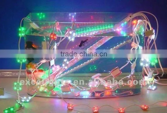China factory in dongguan city 5050 led light module