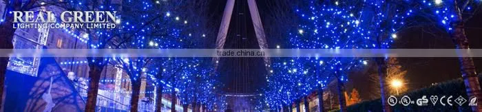 12V Waterproof IP65 5M 5050 SMD Outdoor Use LED Strip Lights