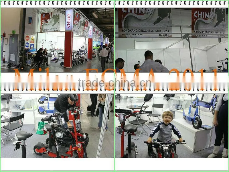 1000w /800w/500w electric scooter (XW-E05L)
