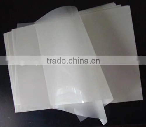fast dry backlit film eco solvent pet