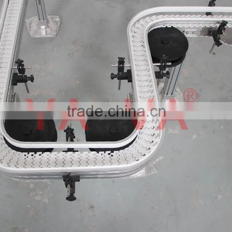 Flexlink Conveyor for Bottle
