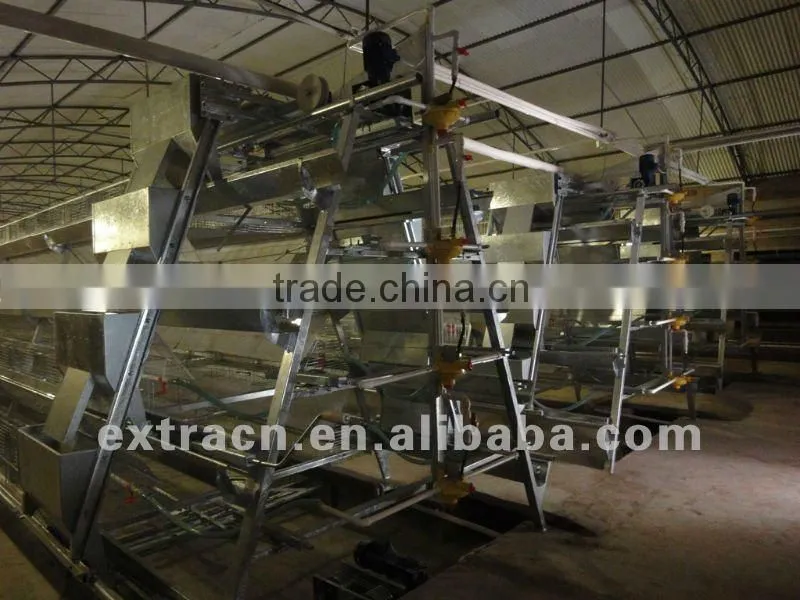 chicken cages