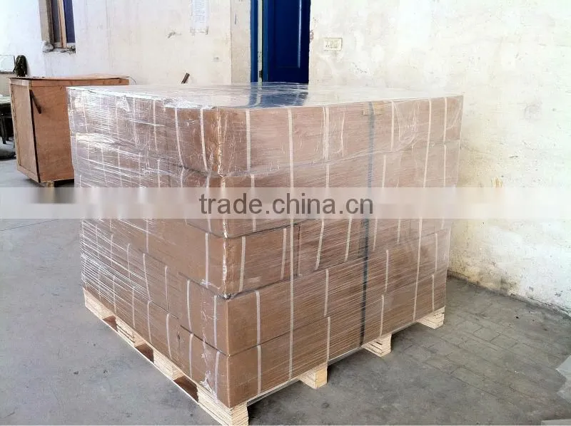 100W bus windscreen wiper motor dc motor