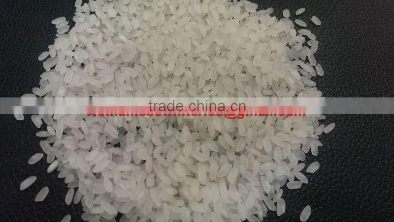 VIETNAMESE MEDIUM GRAIN RICE - CALROSE RICE - VINAFOOD 1.