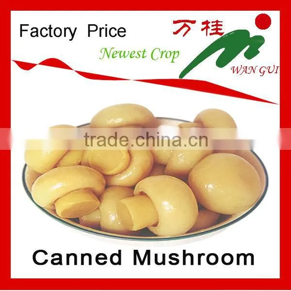 canned mushroom