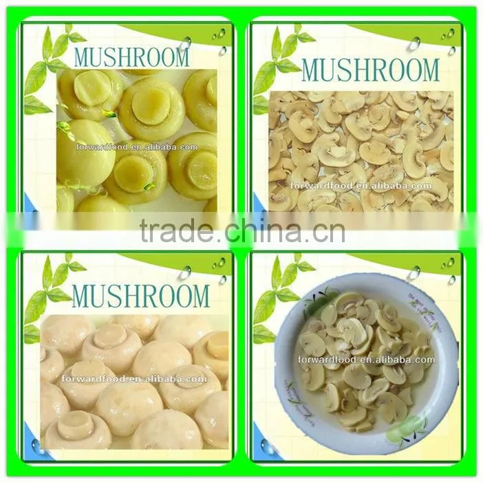 Canned Mushroom PNS in Brine