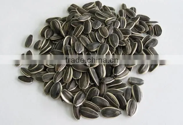 snacks/sunflower seeds 5135 22/64