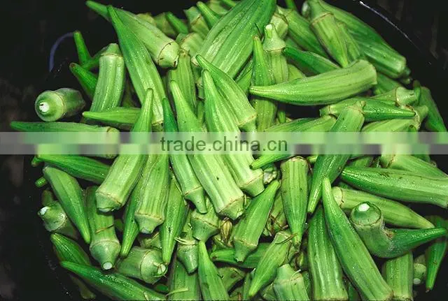 Okra Extract
