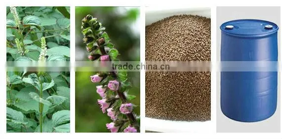oil in cold press organic perilla oil