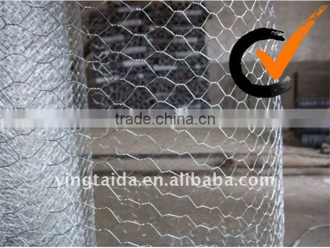 chicken wire mesh/ hexagonal wire mesh