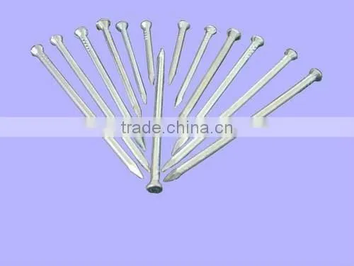 common iron nail