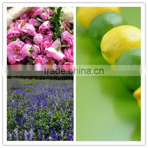50L stainless steel rosemary essential oil extractor on sale