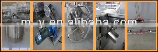 Hot sale peanut roaster with CE(gas/electric)
