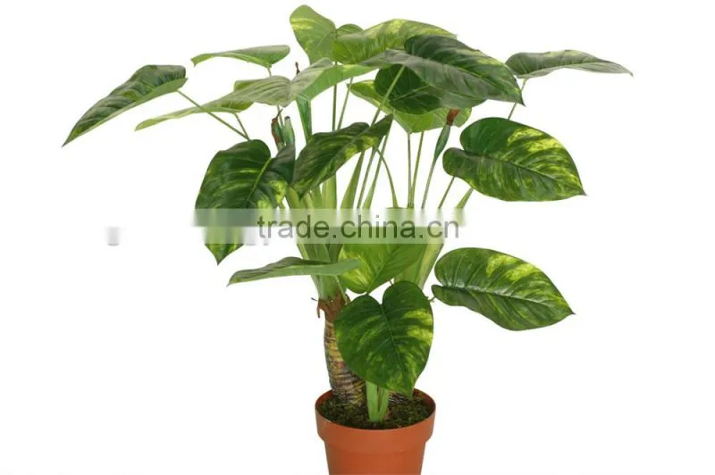 china new products,mini bonsai,artificial Scindapsus aureus