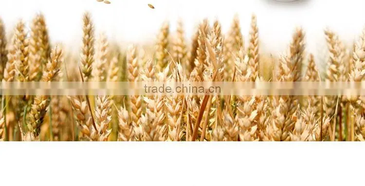 Popular noodle Low fat fresh Noodle Kemen wheat flavor lucky dried noodles