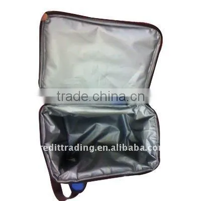 new design cooler bag for frozen food