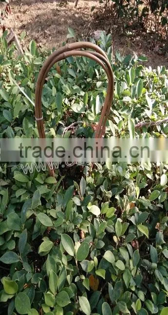 Bamboo U-shape Hoops made of bamboo Stick for Agriculture Plant