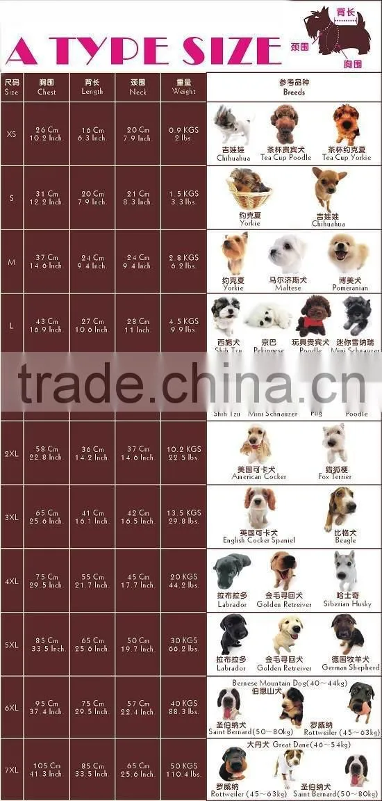 Qiu dong outfit - both wear bright pet coat