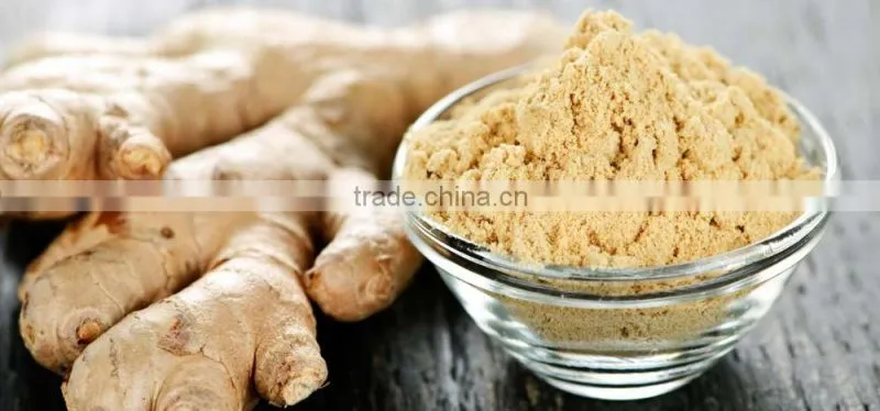 Dried Ginger Powder Manufacturer and Supplier