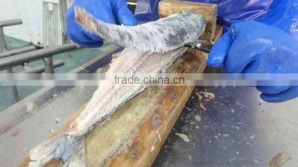 Frozen IQF Spanish Mackerel Fillet IQF Scomberomorus Niphonius King Fish Fillet