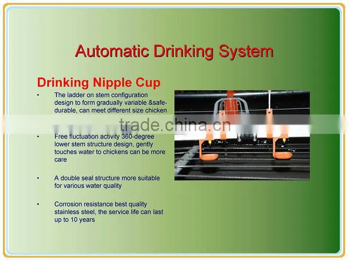 chicken poultry farm equipment