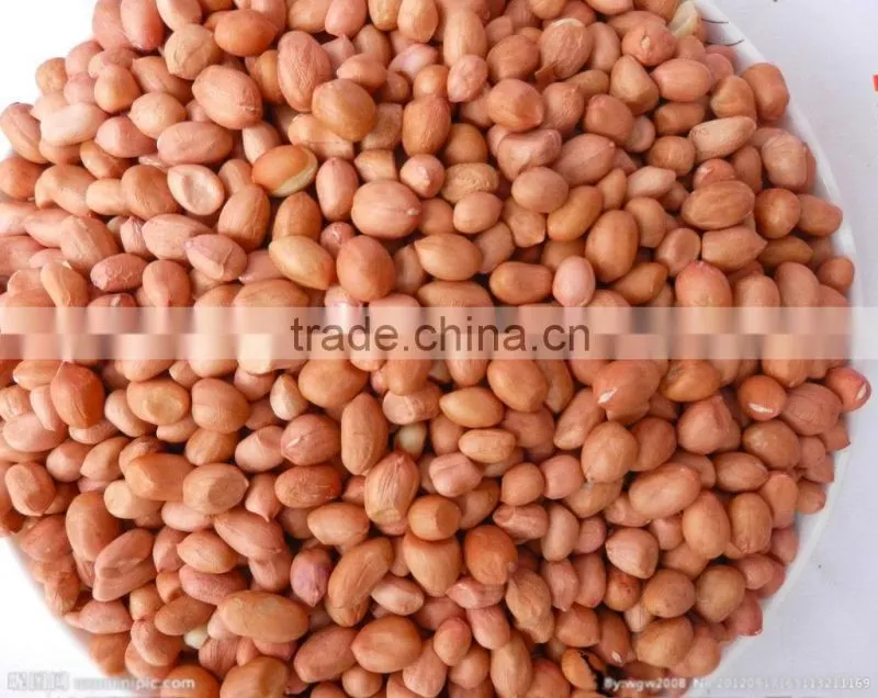 Good peanut kernel 24/28 blanched peanuts 25/29 //peanuts 40/50