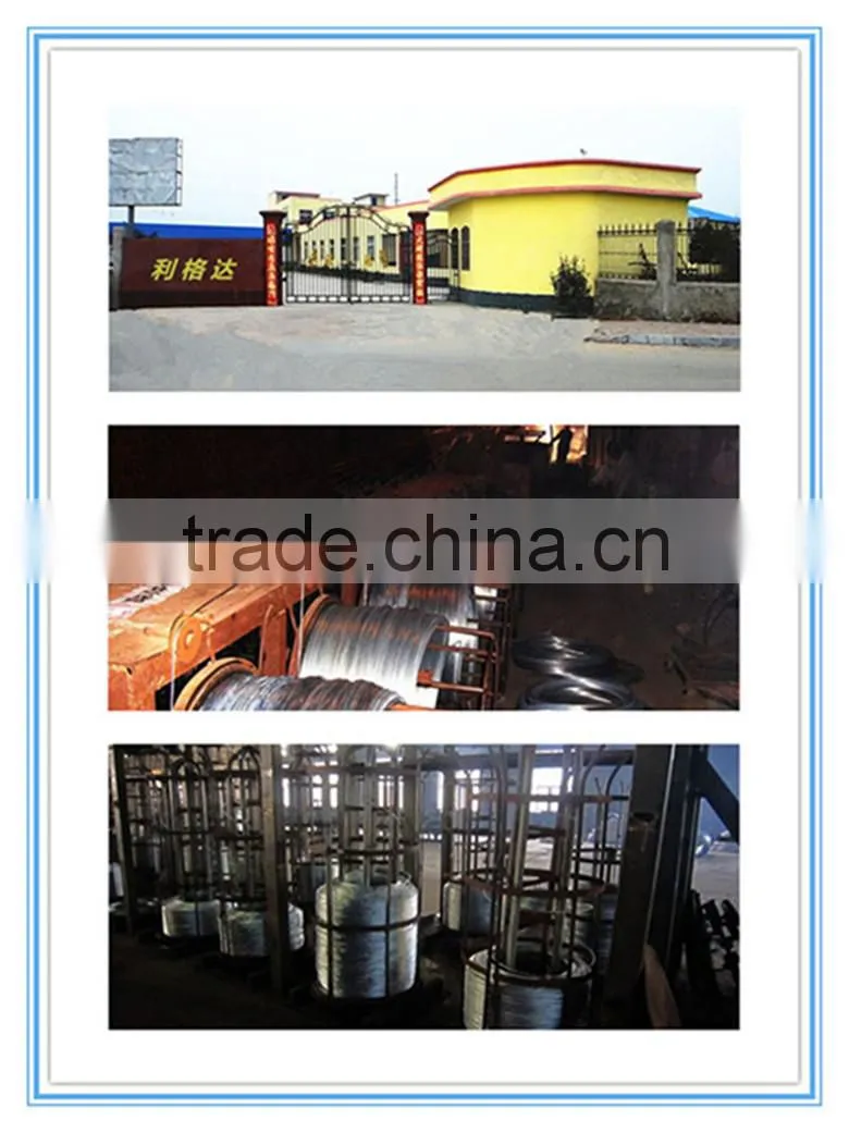 cheap Electro galvanized iron wire