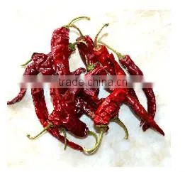 very hot chilli powder