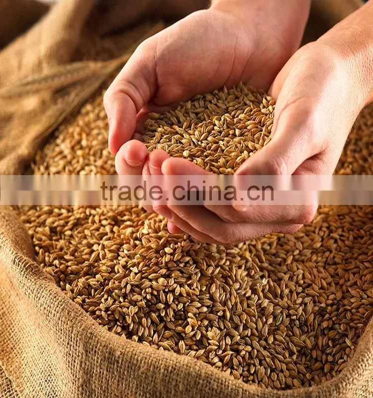 wheat germ oil for best carrier oil