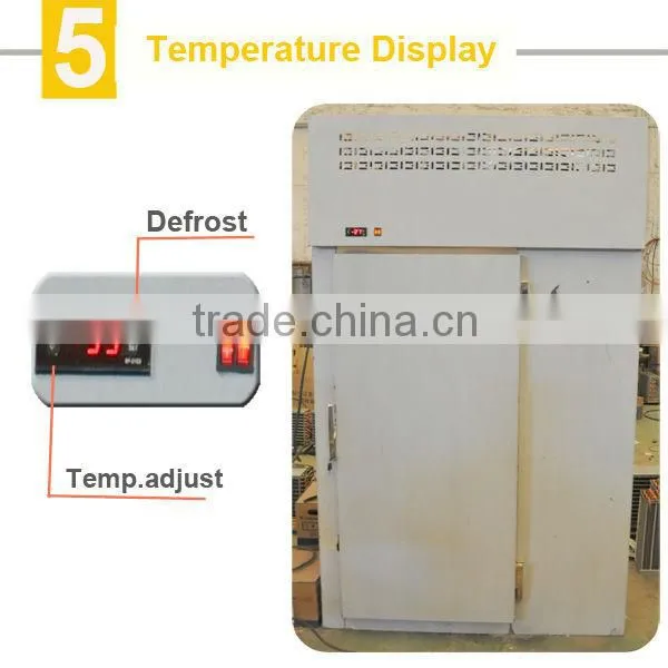 blast freezer to freezer French fries in 2 hours