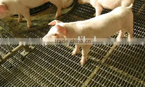 S.S. Crimped wire mesh for pig raising/heavy duty crimped wire mesh