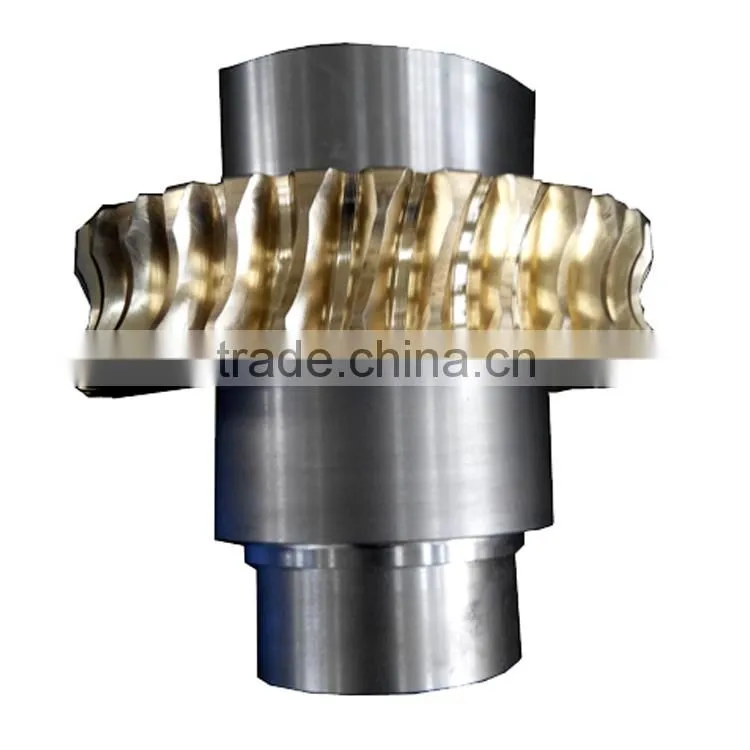Brushless dc motor with enveloping worm gear